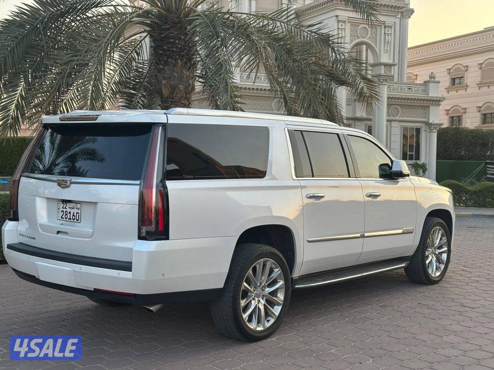 كاديلاك اسكاليد XL 2019 صبغ الوكالة4