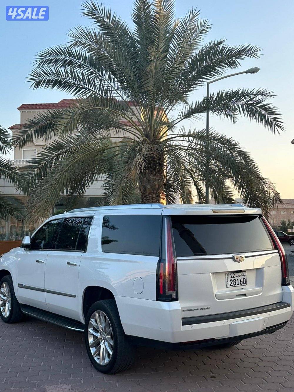 كاديلاك اسكاليد XL 2019 صبغ الوكالة5