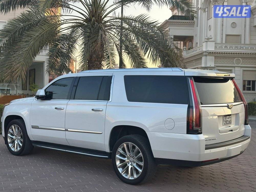 كاديلاك اسكاليد XL 2019 صبغ الوكالة6