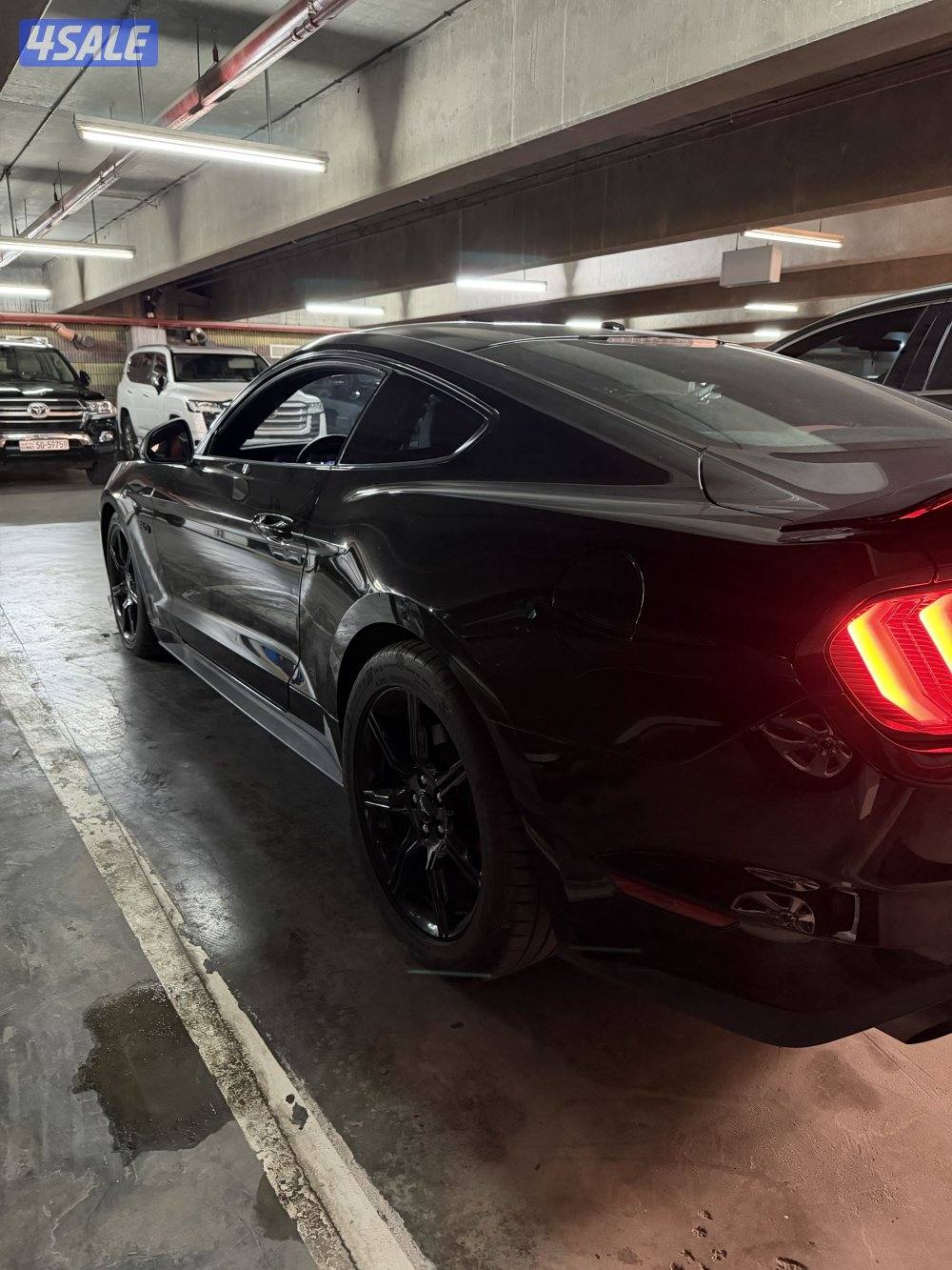 للبيع موستنق 2019 سوبرجارج ويبل4