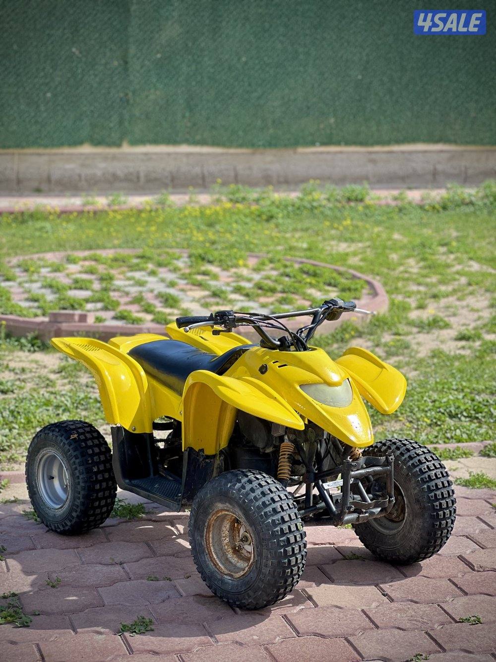 50 CC Amiri Buggy0