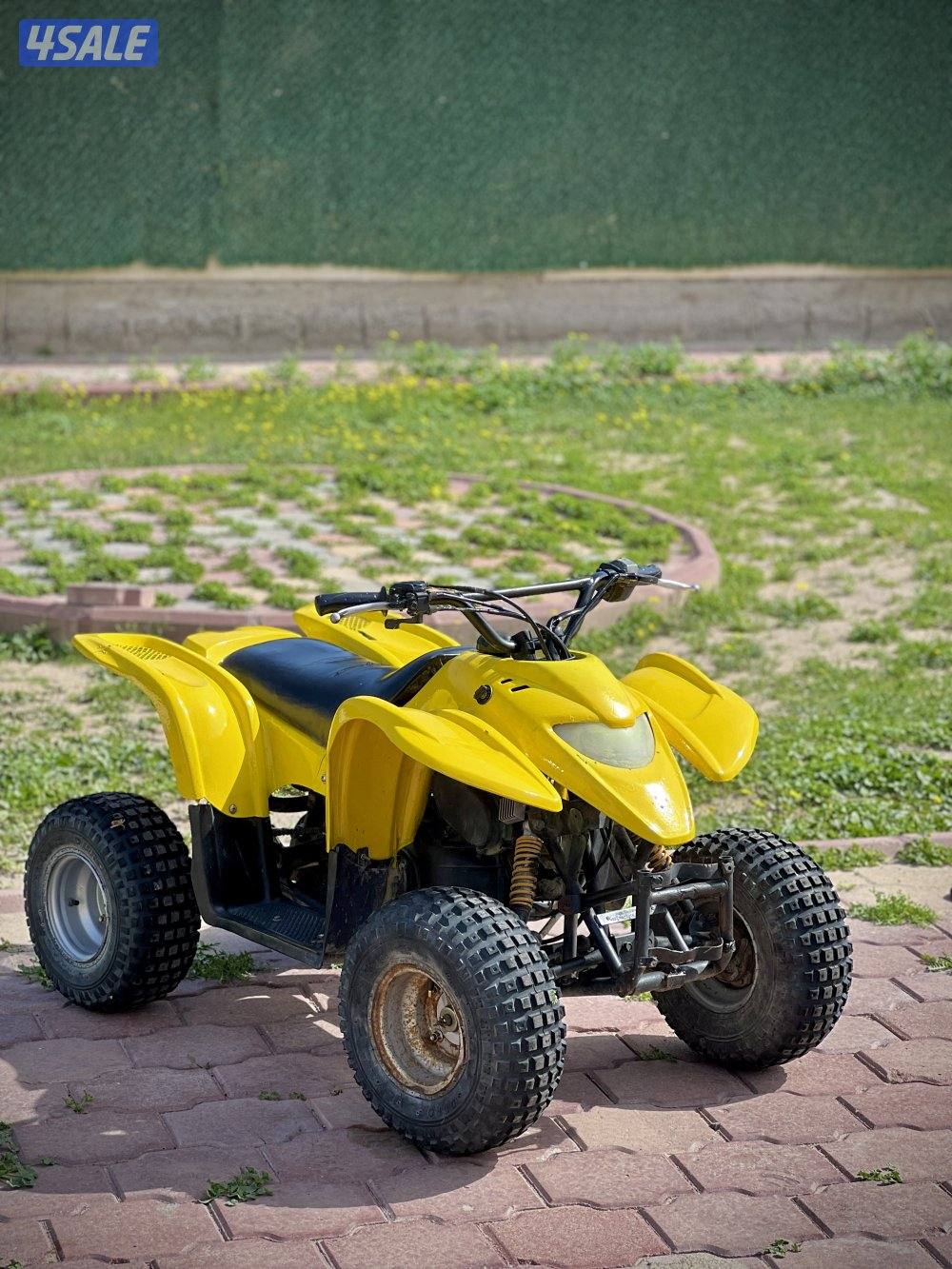 50 CC Amiri Buggy2
