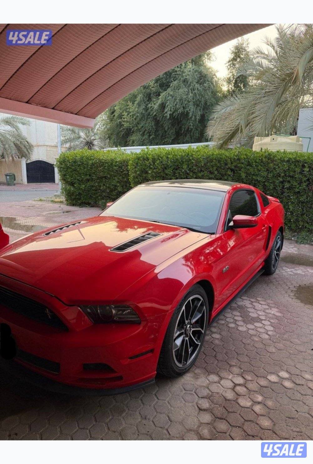 ٥.٠ فل بانوراما قير عادي0