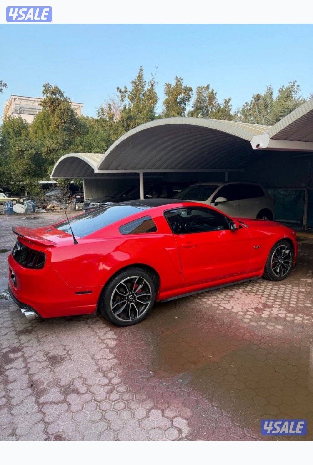 ٥.٠ فل بانوراما قير عادي2