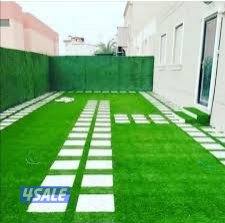 haddad sabir hindi13