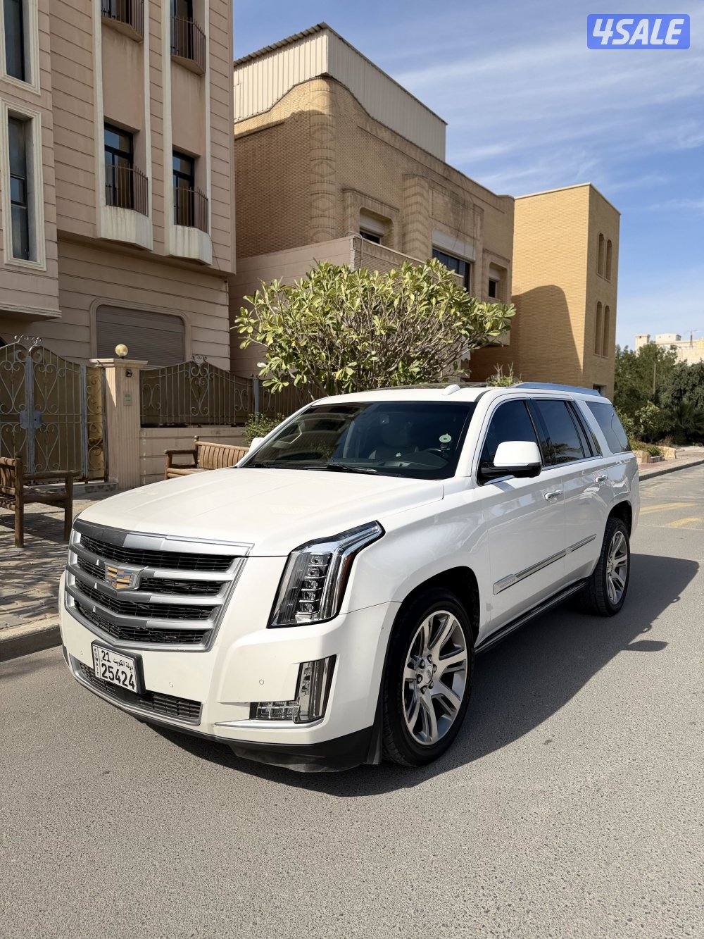 سكاليد 2016 بلاتينيوم صبغ الوكالة شرط الفحص بل كامل0