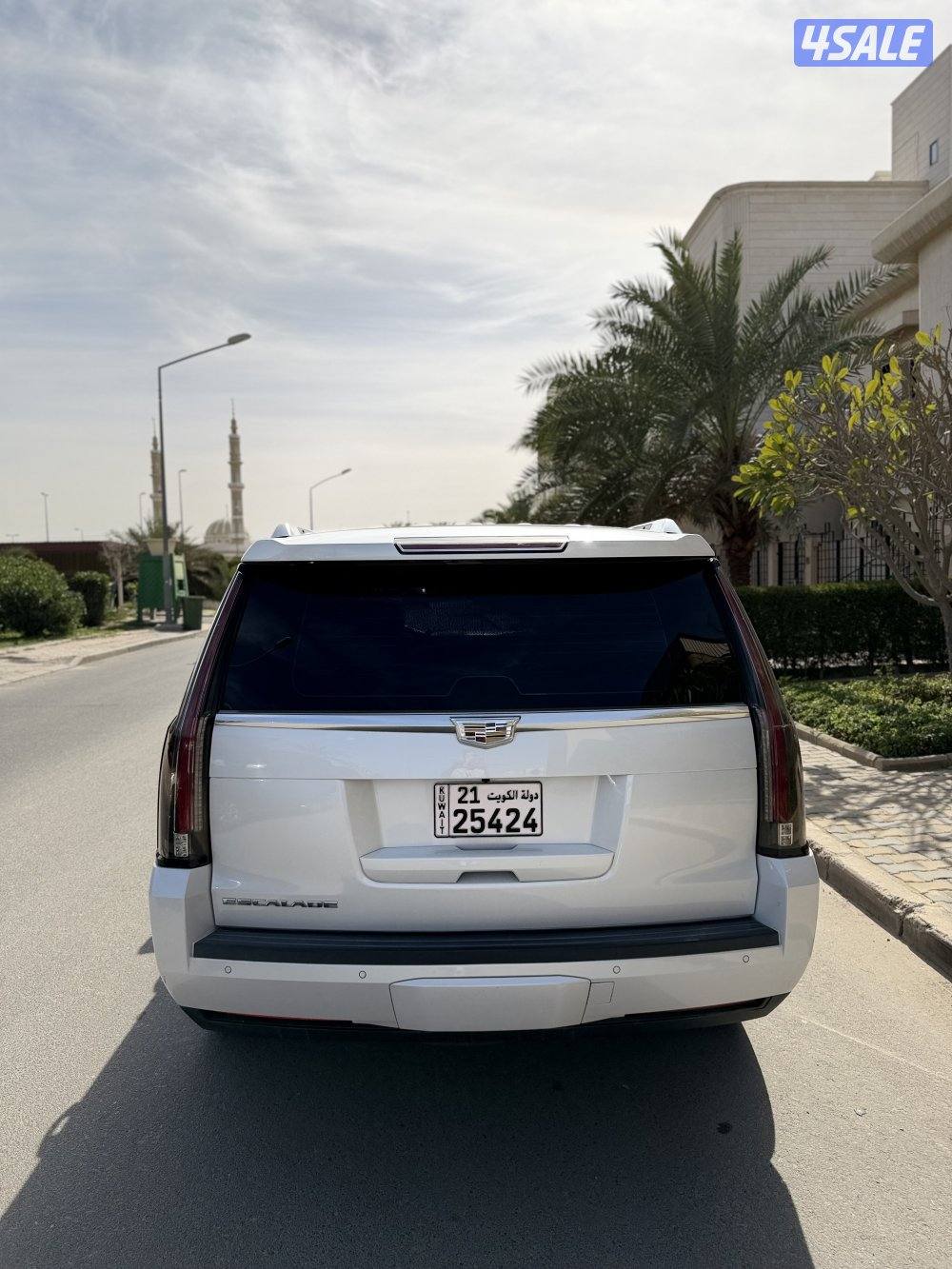 سكاليد 2016 بلاتينيوم صبغ الوكالة شرط الفحص بل كامل1