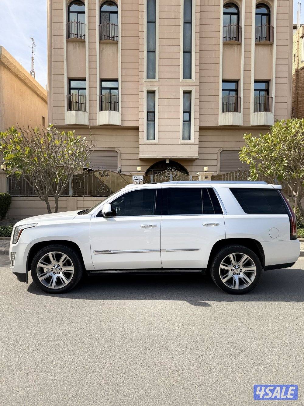 سكاليد 2016 بلاتينيوم صبغ الوكالة شرط الفحص بل كامل5