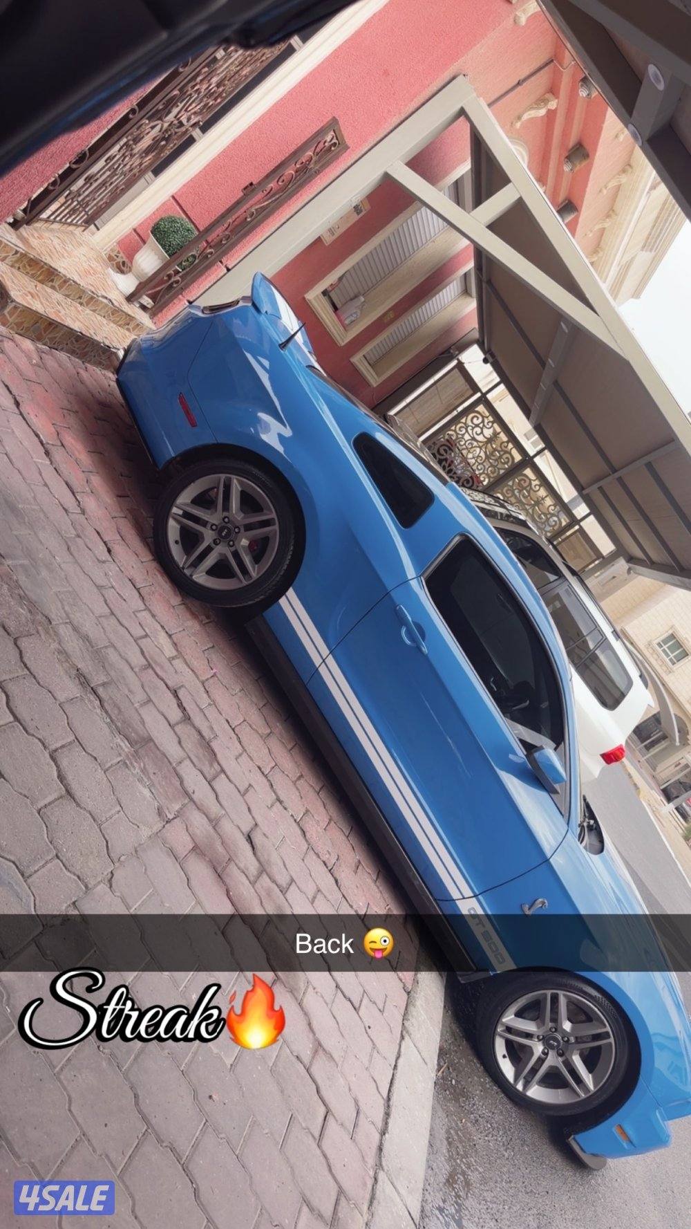 موستانج شلبي 20100