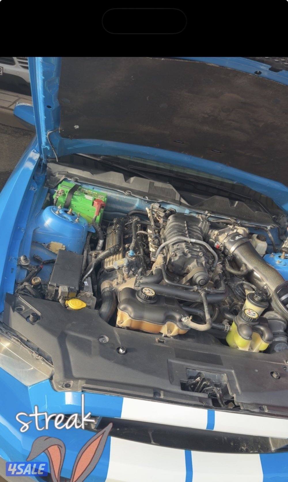 موستانج شلبي 20101