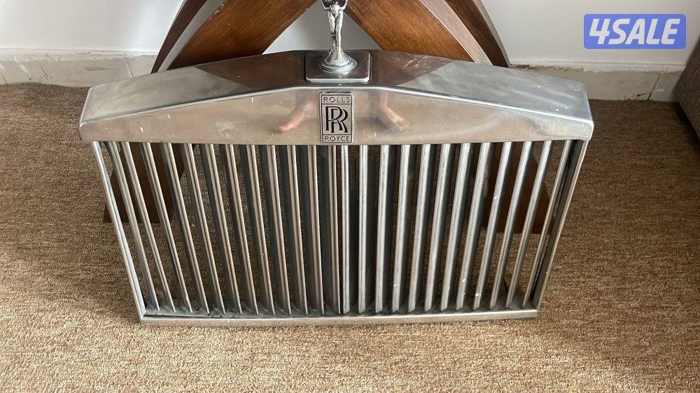 شبك روز رايز0