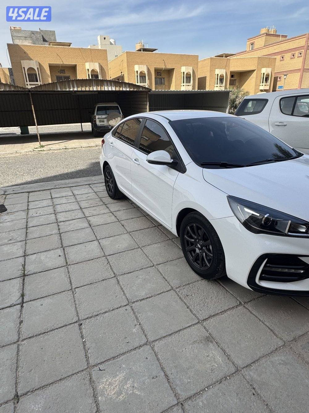 شيري اريزو 20253