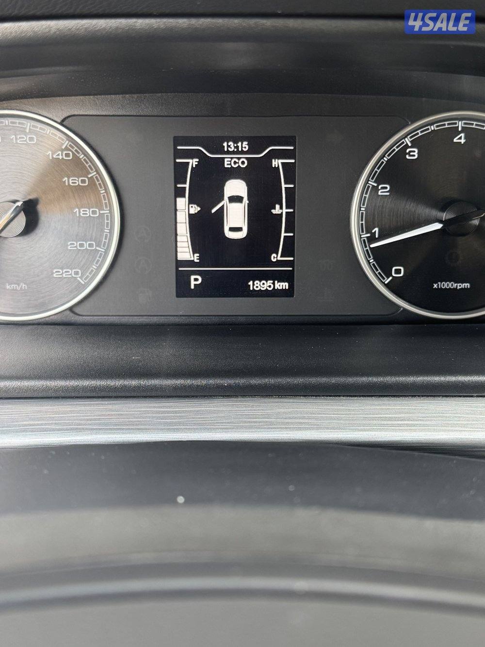 شيري اريزو 20255