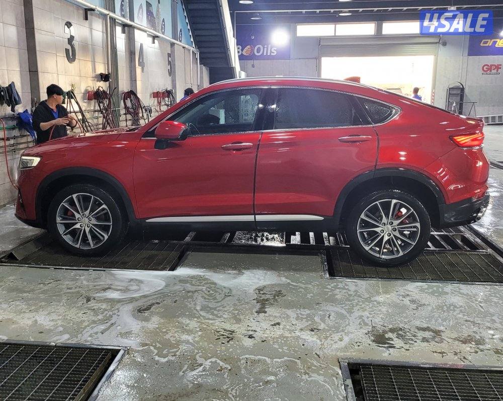 جيلي - توجيلا 20229