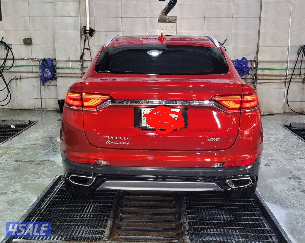 جيلي - توجيلا 202211