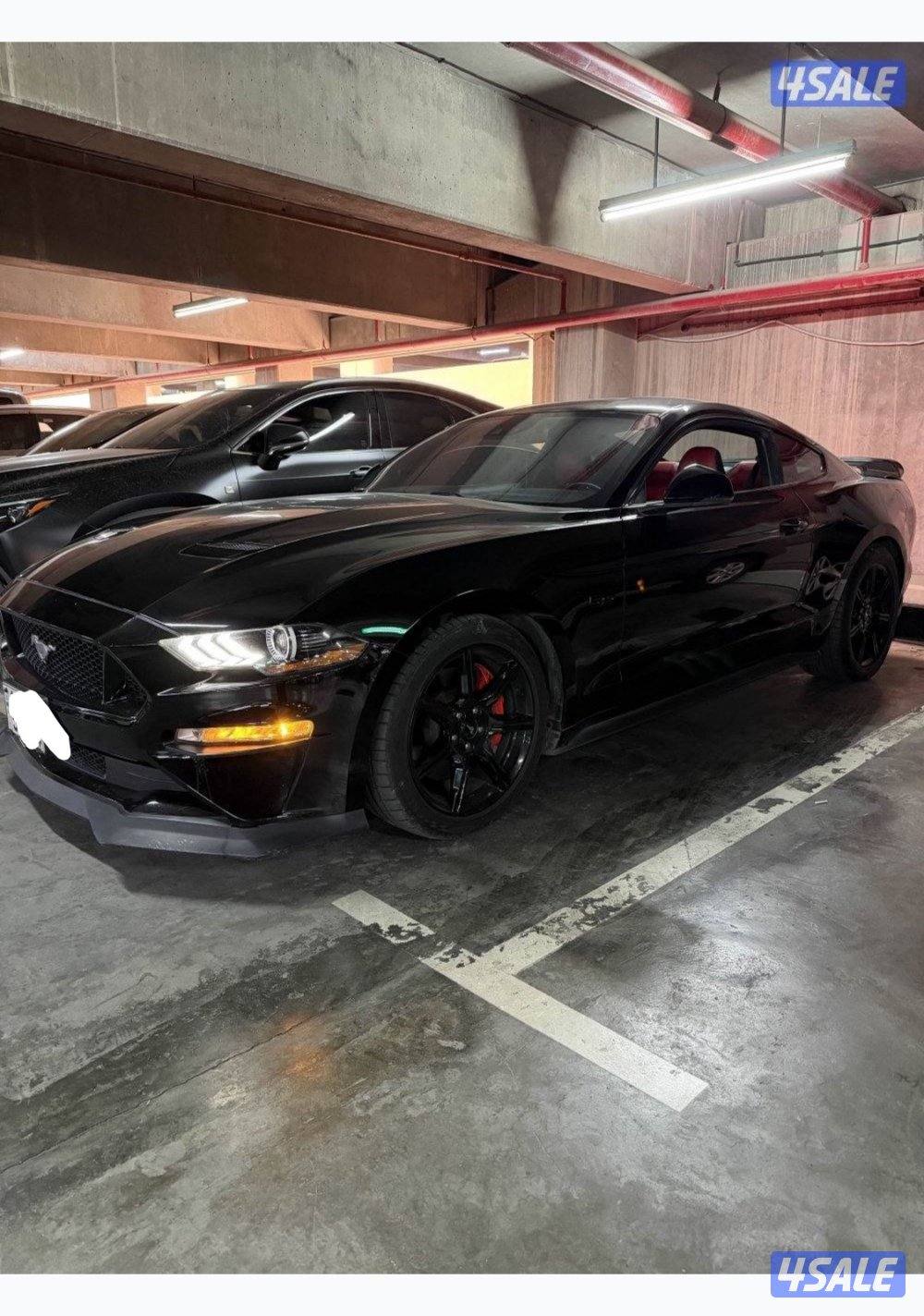 للبيع موستنق 2019 سوبرجارج ويبل3