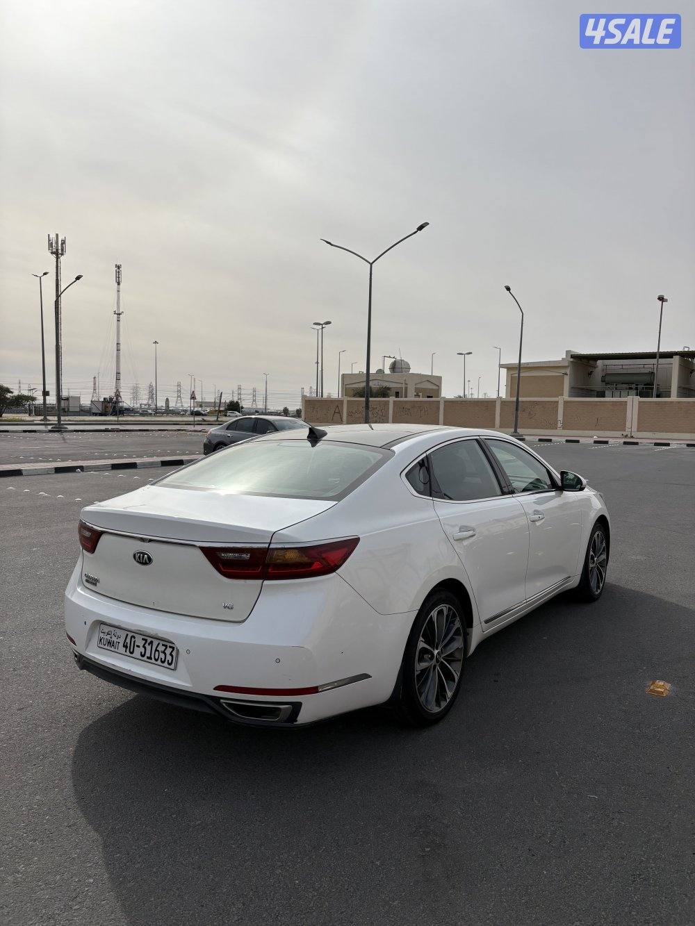 كادينزا 20173