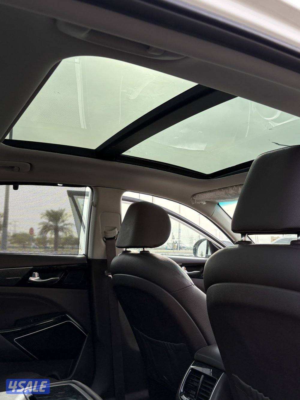 كادينزا 20175