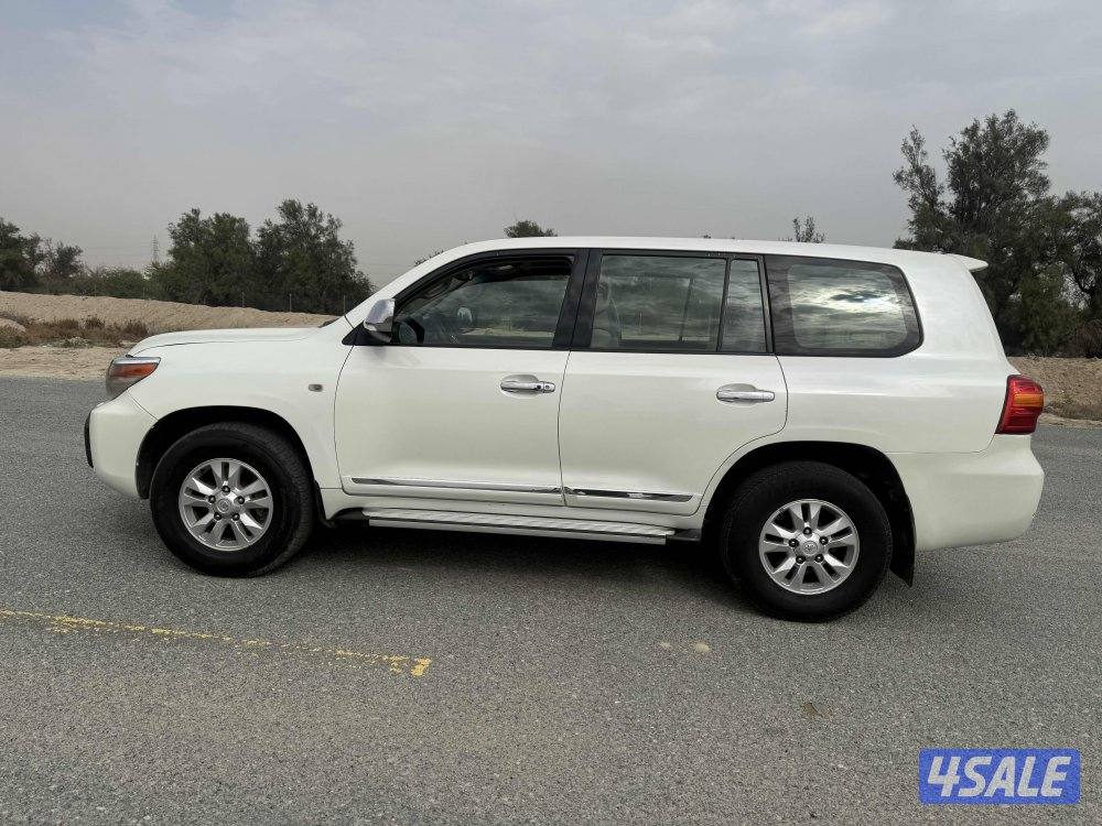 الله يهني صاحب النصيب بيعه سمحه12