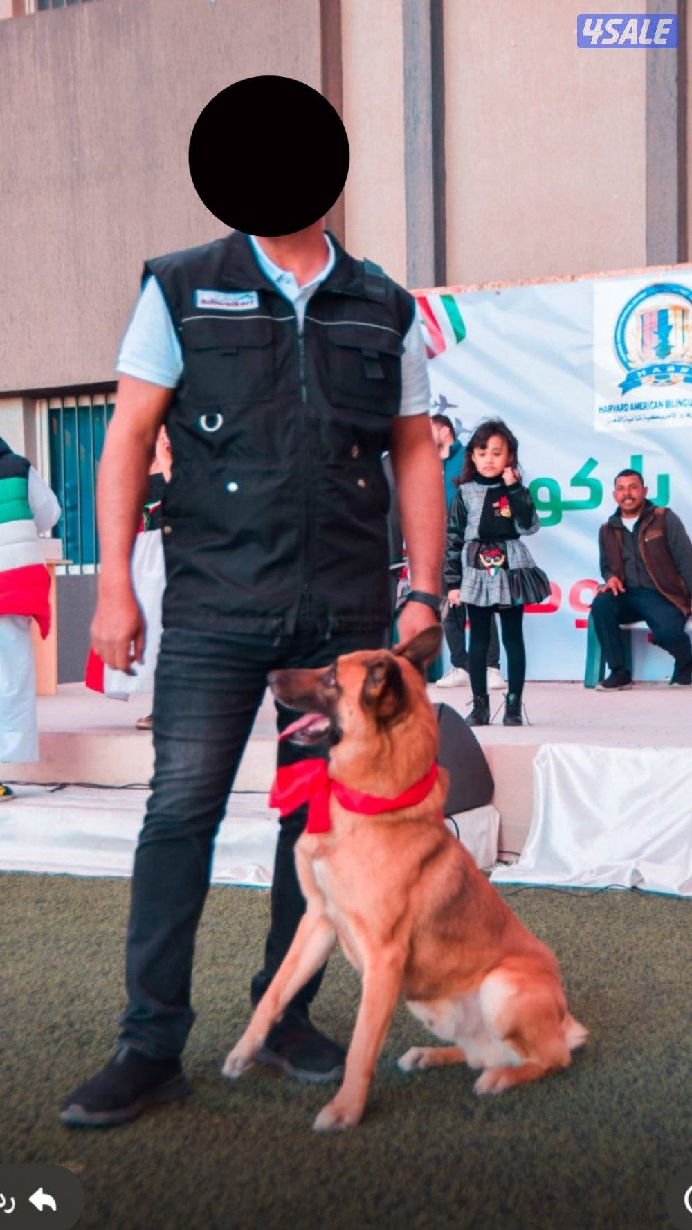 جلبه ملينو للبيع12