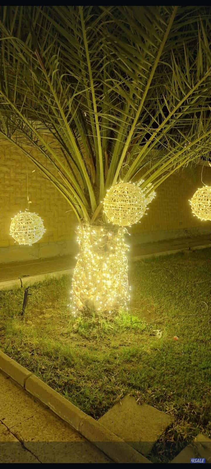 تاجير زينه وكراس وطولات وخيمه وتسكيره12