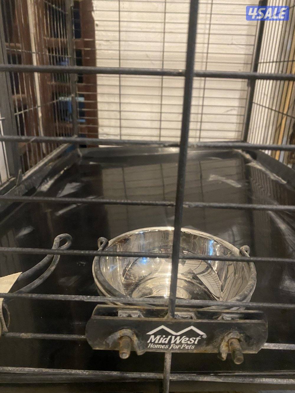 قفص قياس 100 في 120 يصلح سعر الشراء 75 للتواصل 6-0-0-6-1-3-3-30