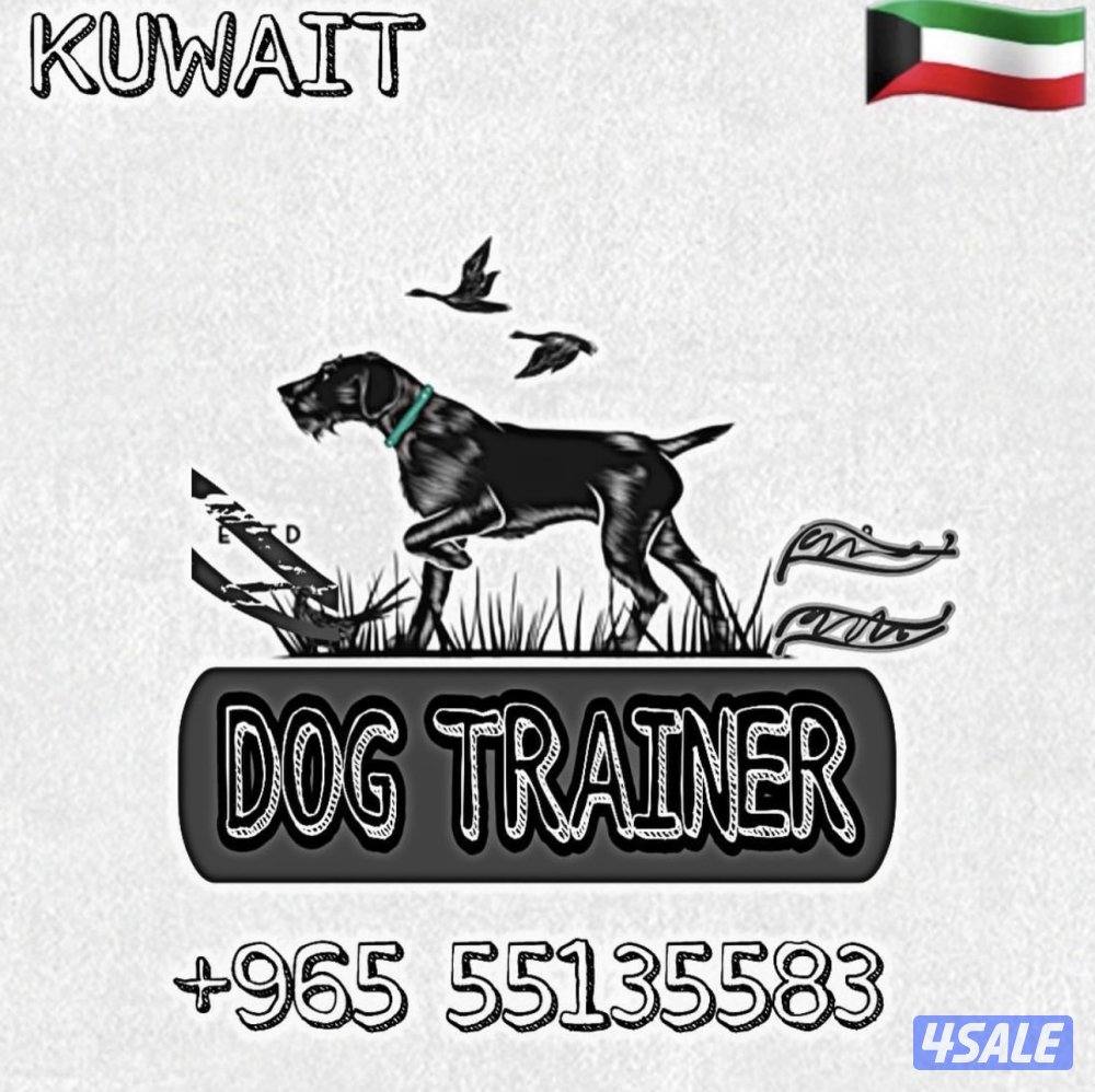 مدرب كلاب متخصص في تعديل السلوك0