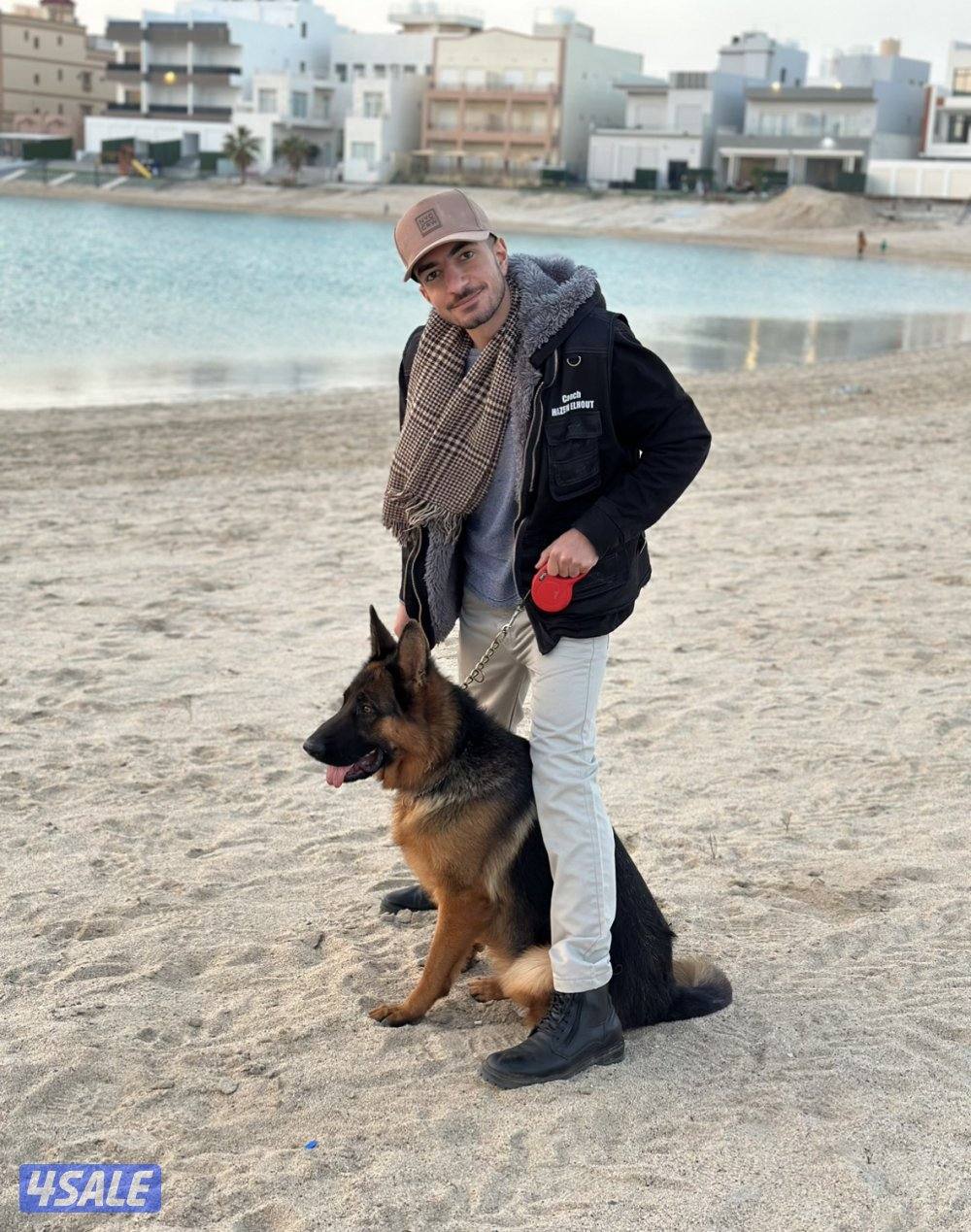 مدرب كلاب متخصص في تعديل السلوك1