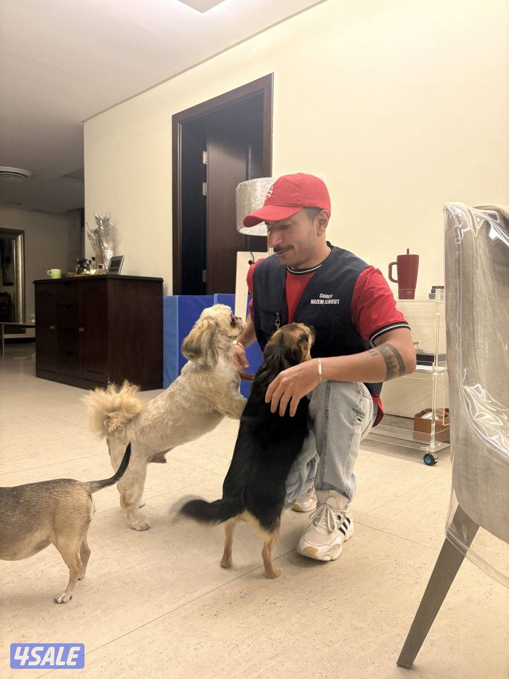 مدرب كلاب متخصص في تعديل السلوك2