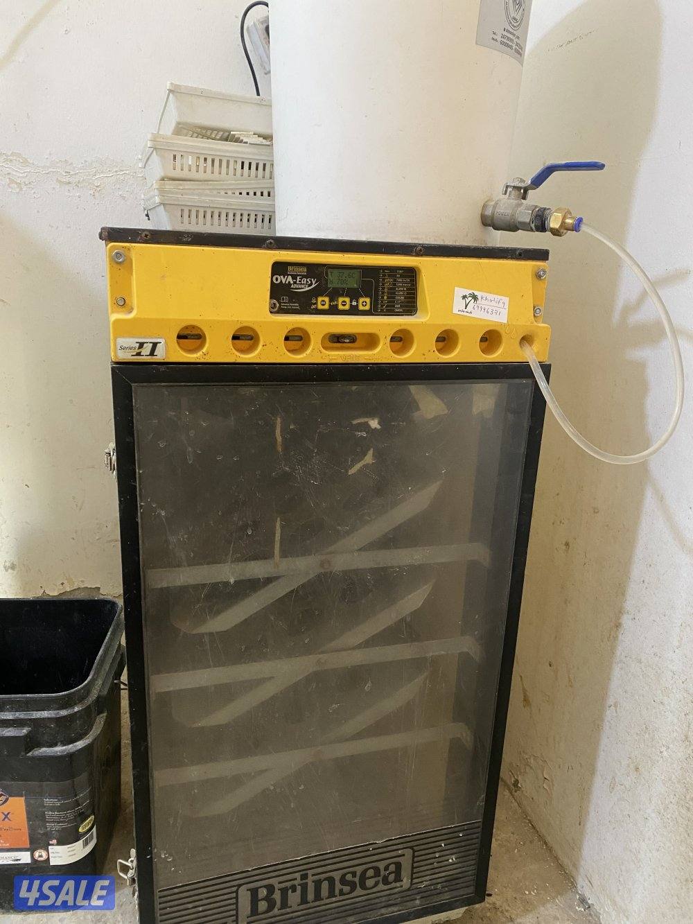 فقاسة نايف1