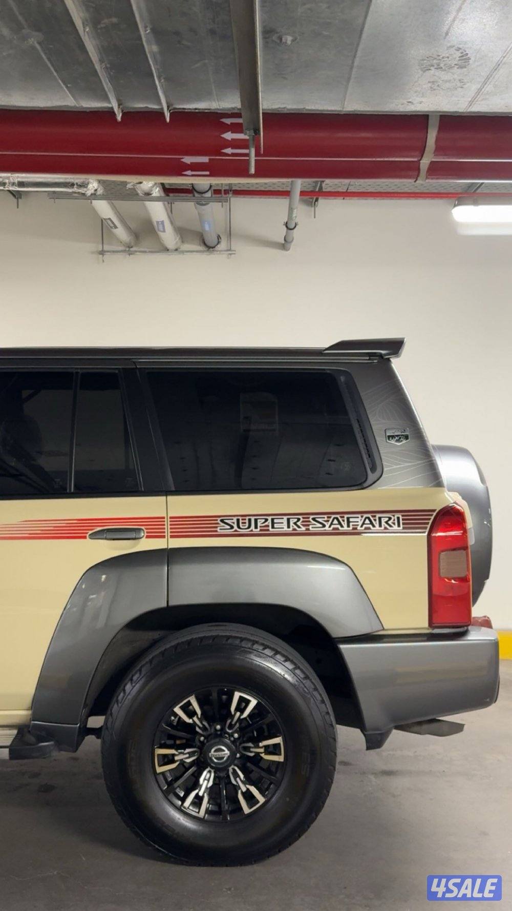 4 شواهين للبيع0