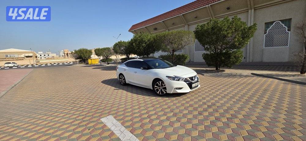 للبيع نيسان ماكسيما صبغ الوكالة5