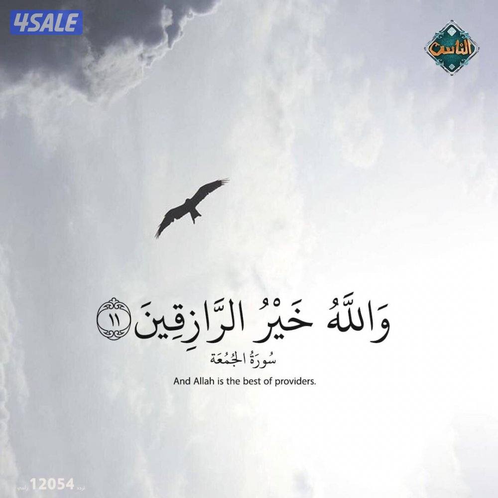 ابحث عن عمل مدخل بيانات او سكرتير0