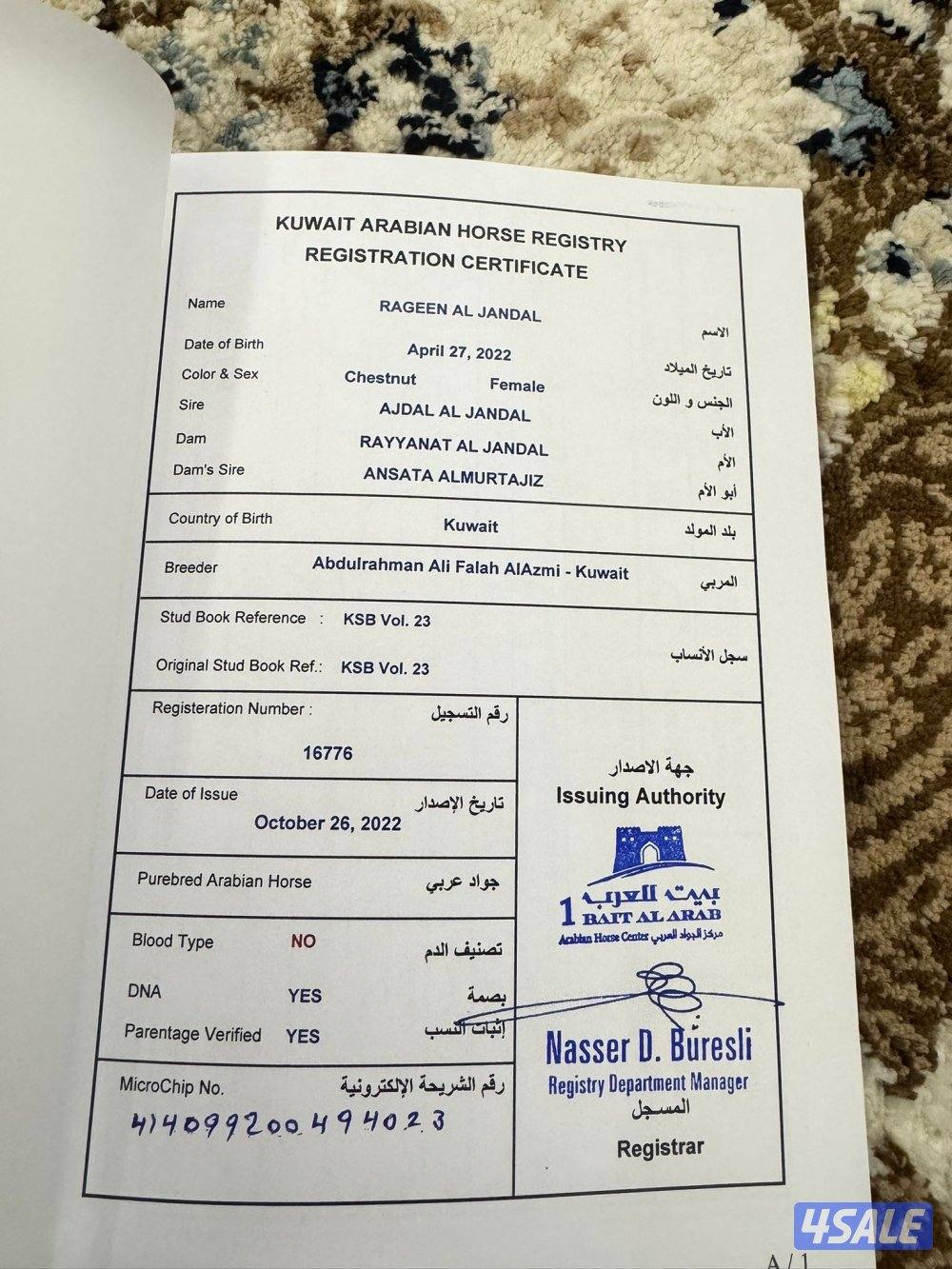 (للتواصل واتساب : سته صفر صفر صفر أربعه واحد سته تسعه )1