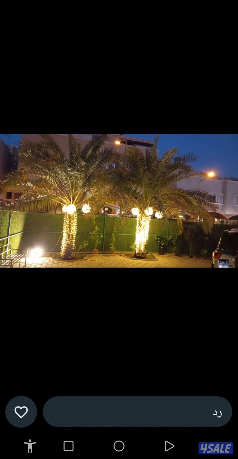 تجهيز حفلات12