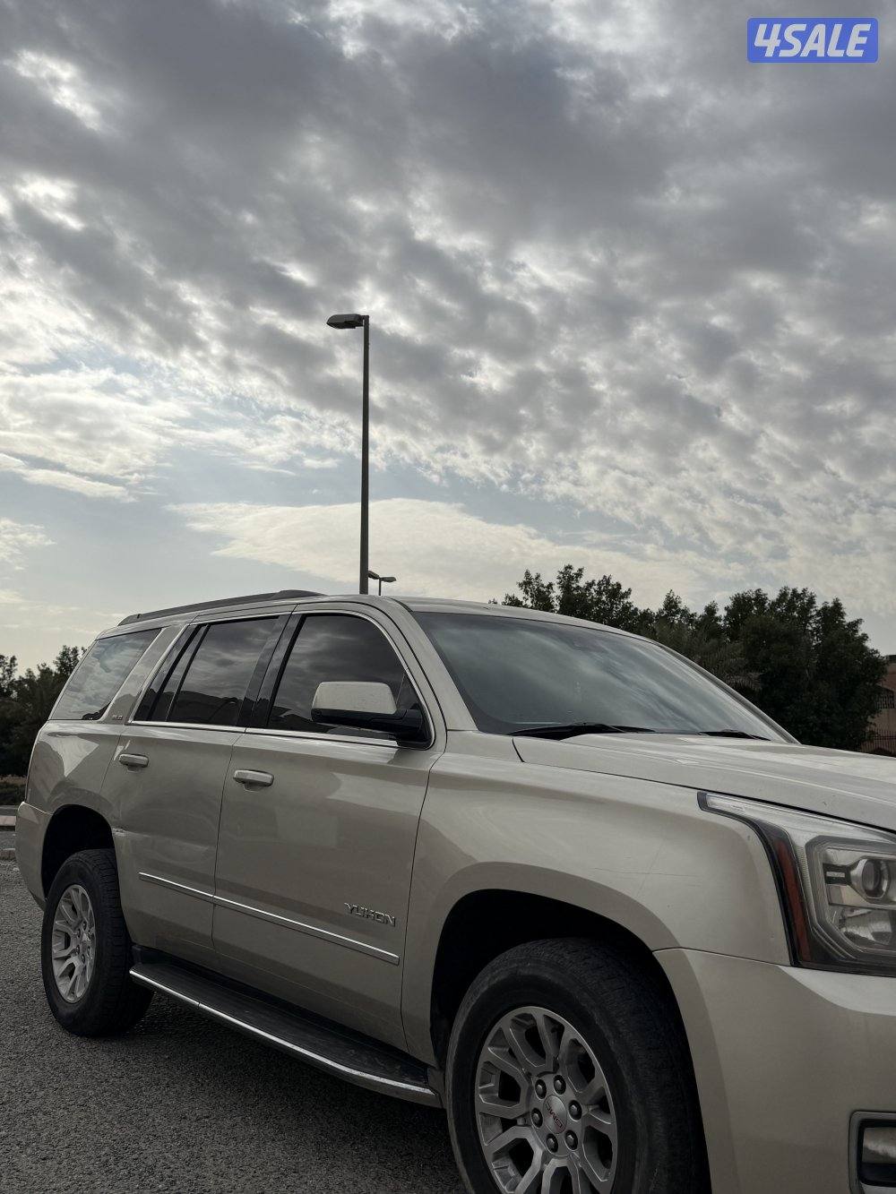 شرط الفحص صبغ الوكالة بالكامل1