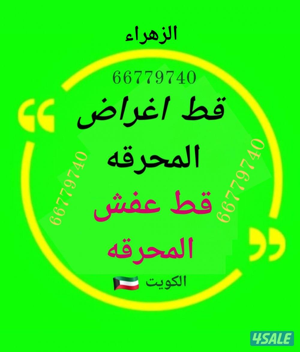 #قط #اغراض #المحرقه #الكويت #نقل عفش0