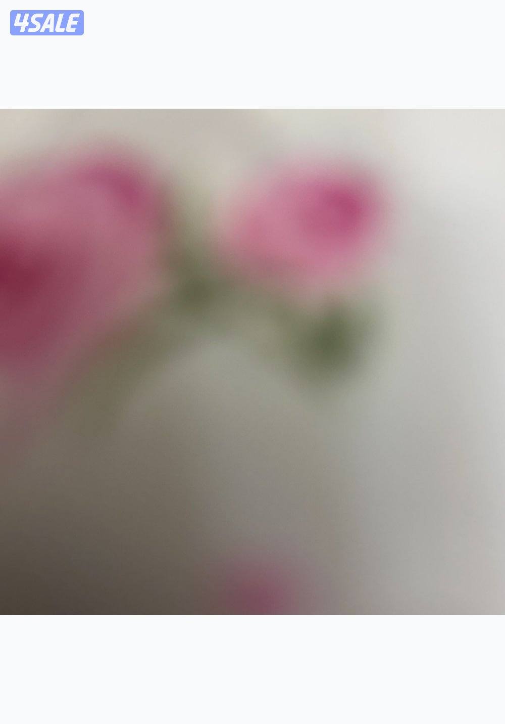 فستان تصميم  خاص فخمه ٢٠٢٦ جديده0