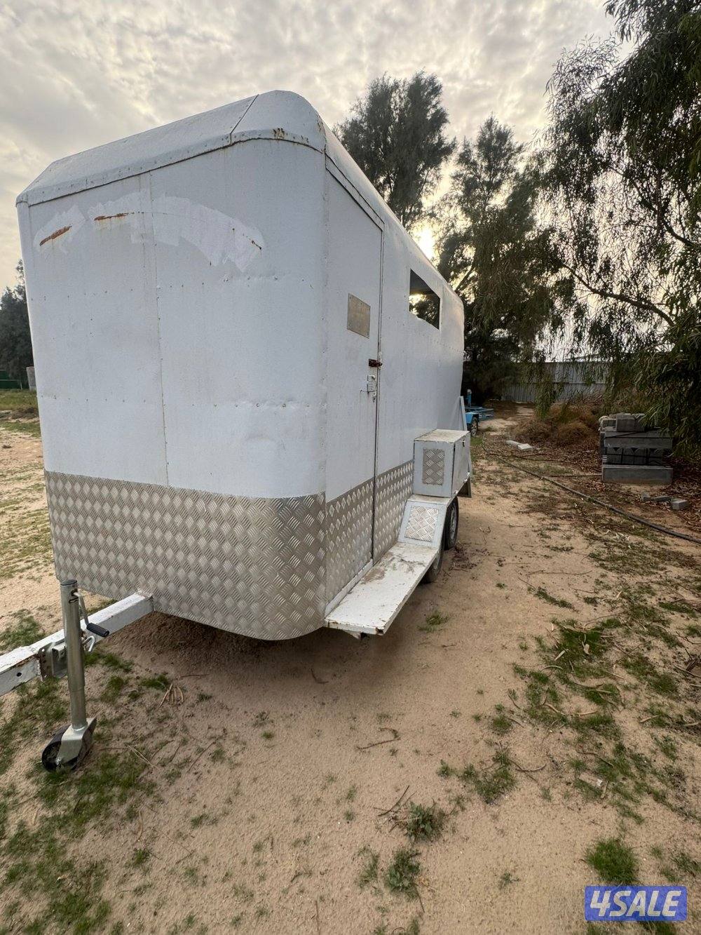 عربانة خيل2