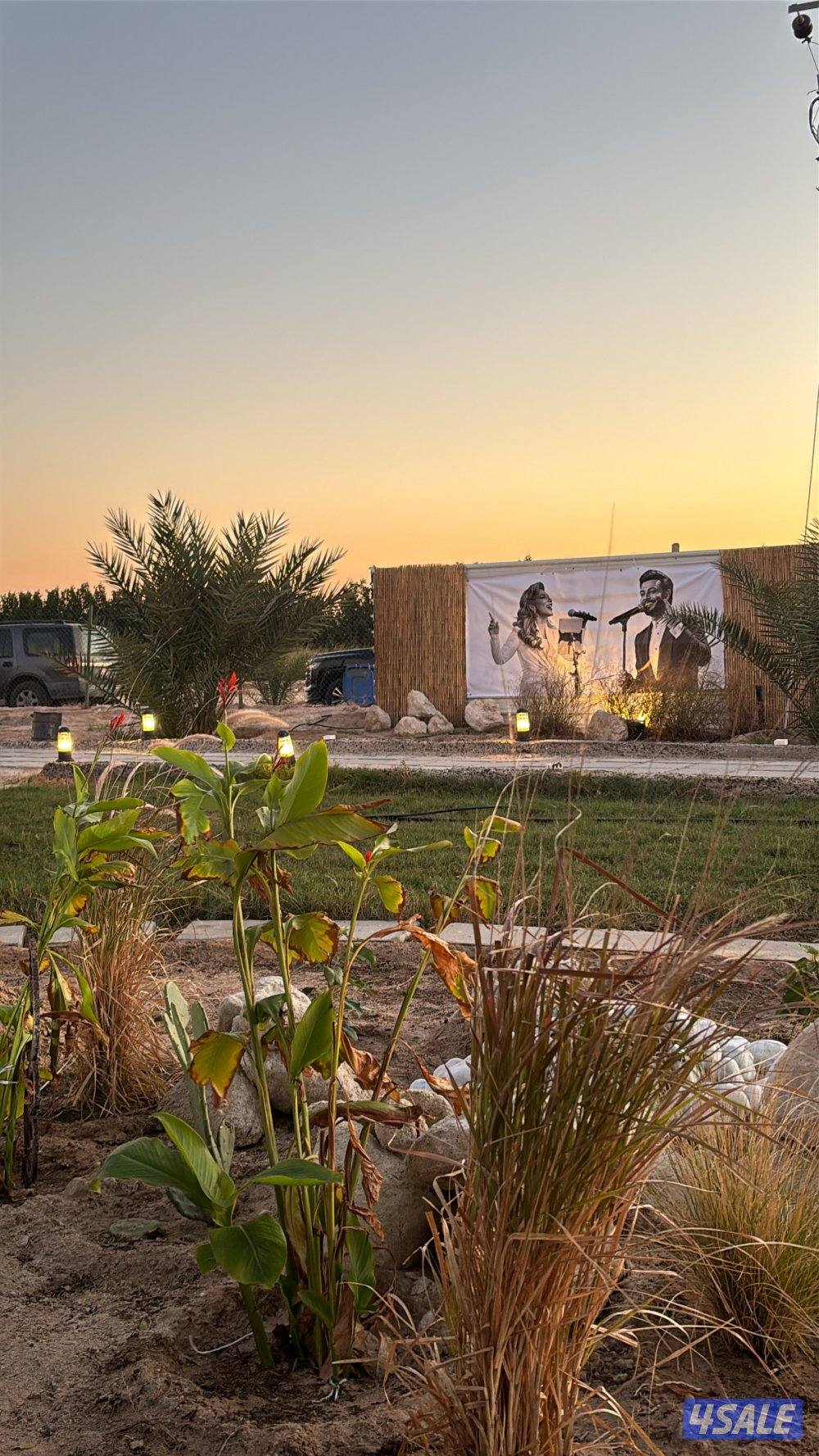 العبدلي شارع الفلاح VIP10