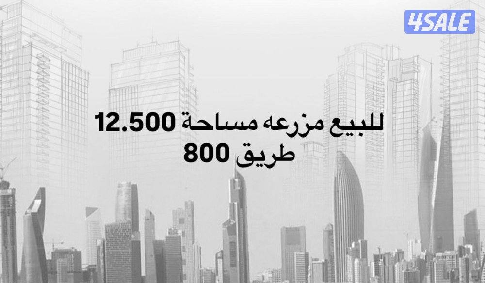 للبيع مزرعه مساحة 12.500 سد طريق 800 افراد تحويل رسمي بالهيئة0