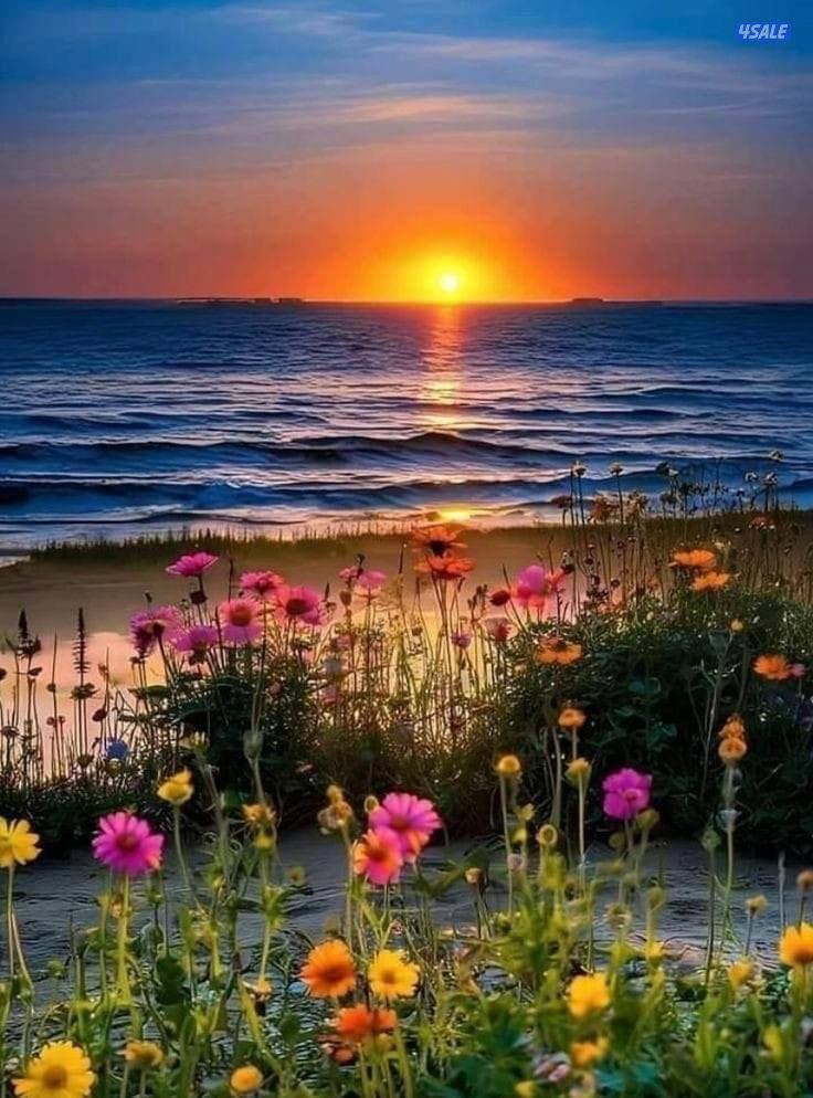 معلمة لغة عربية خبرة في تأسيس طلاب المرحلة الابتدائية3