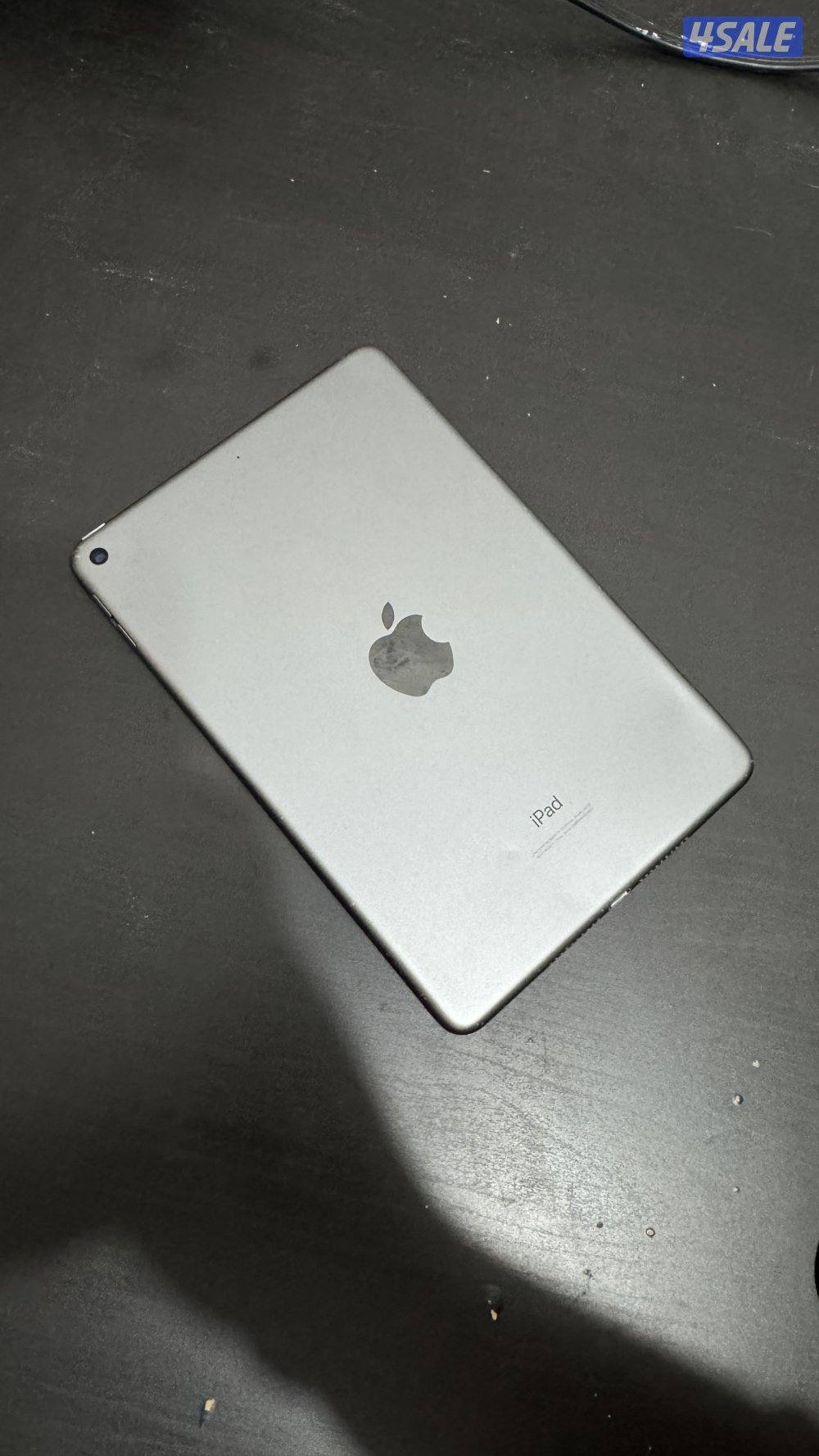 ipad mini 51