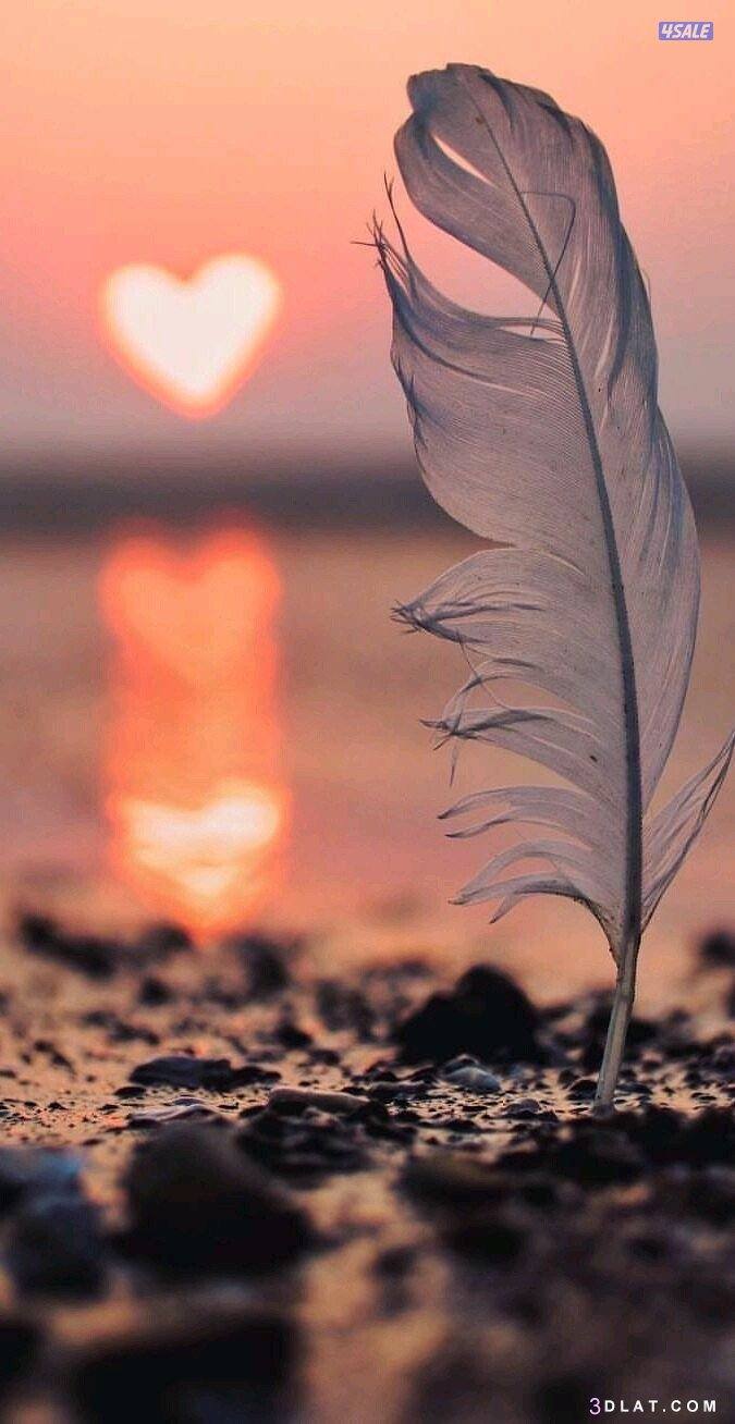 شاب سوداني يبحث عمل0