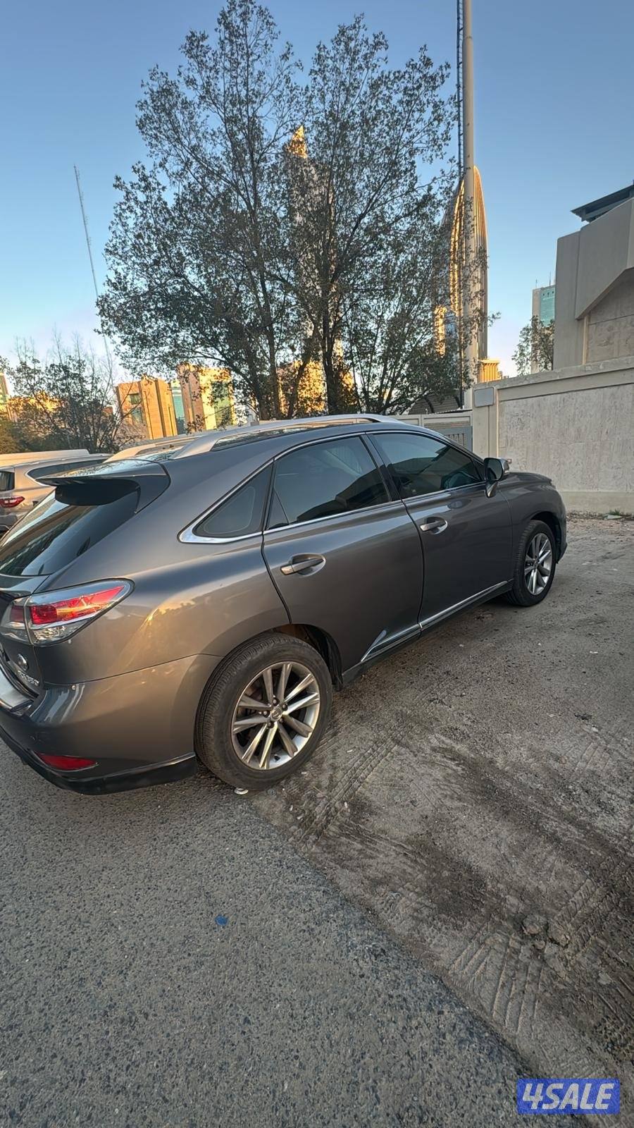 ميدان حولي3