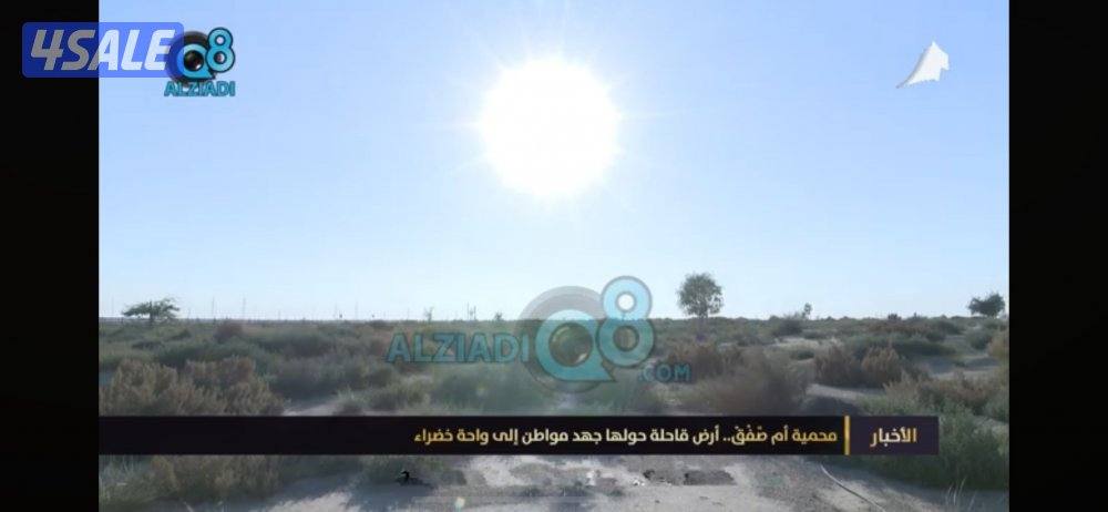 مطلوب محمية للحلال حول الوفرة0