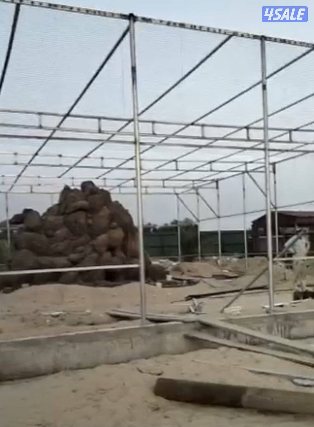 حداد مزارع الوفرة6