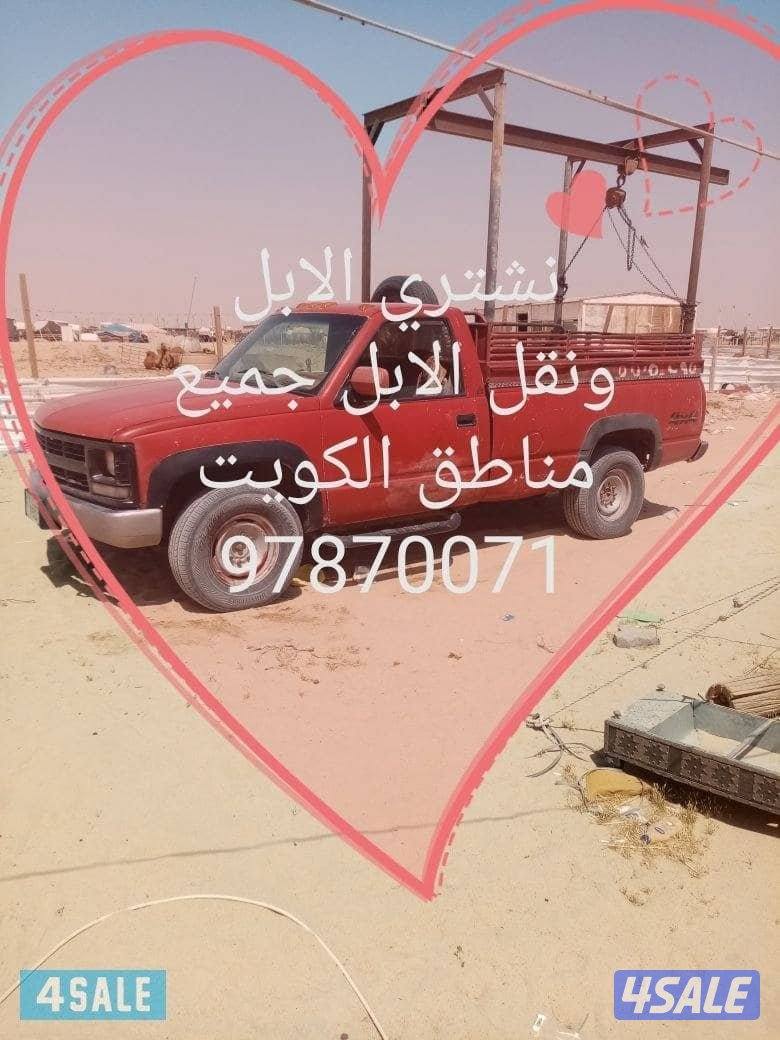 نشتري الان ونقل الان0