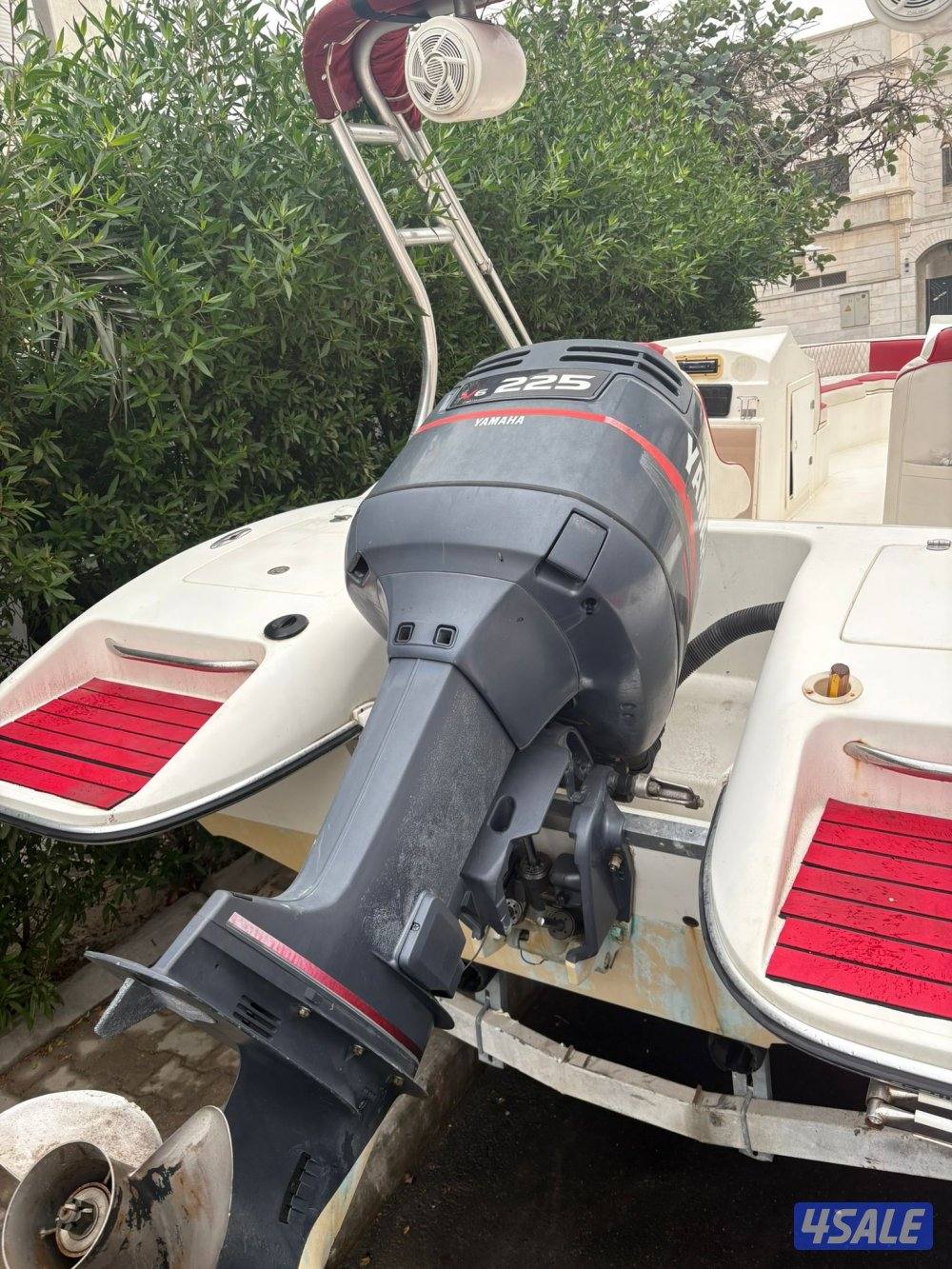 للبيع كوبرا الشايع1