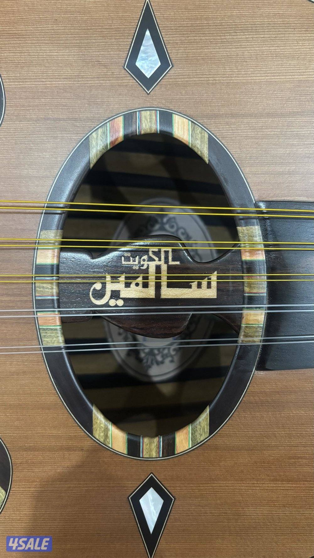 سالمين برهان ششني0